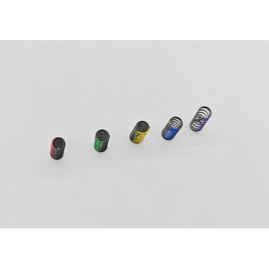 LMP2 Option Central Spring set LMP2 Option Central Spring set