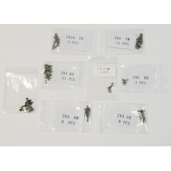 GLR Stainless steel screw set